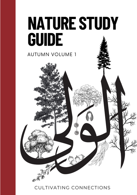 Nature Studies Guides - Cultivating Connections