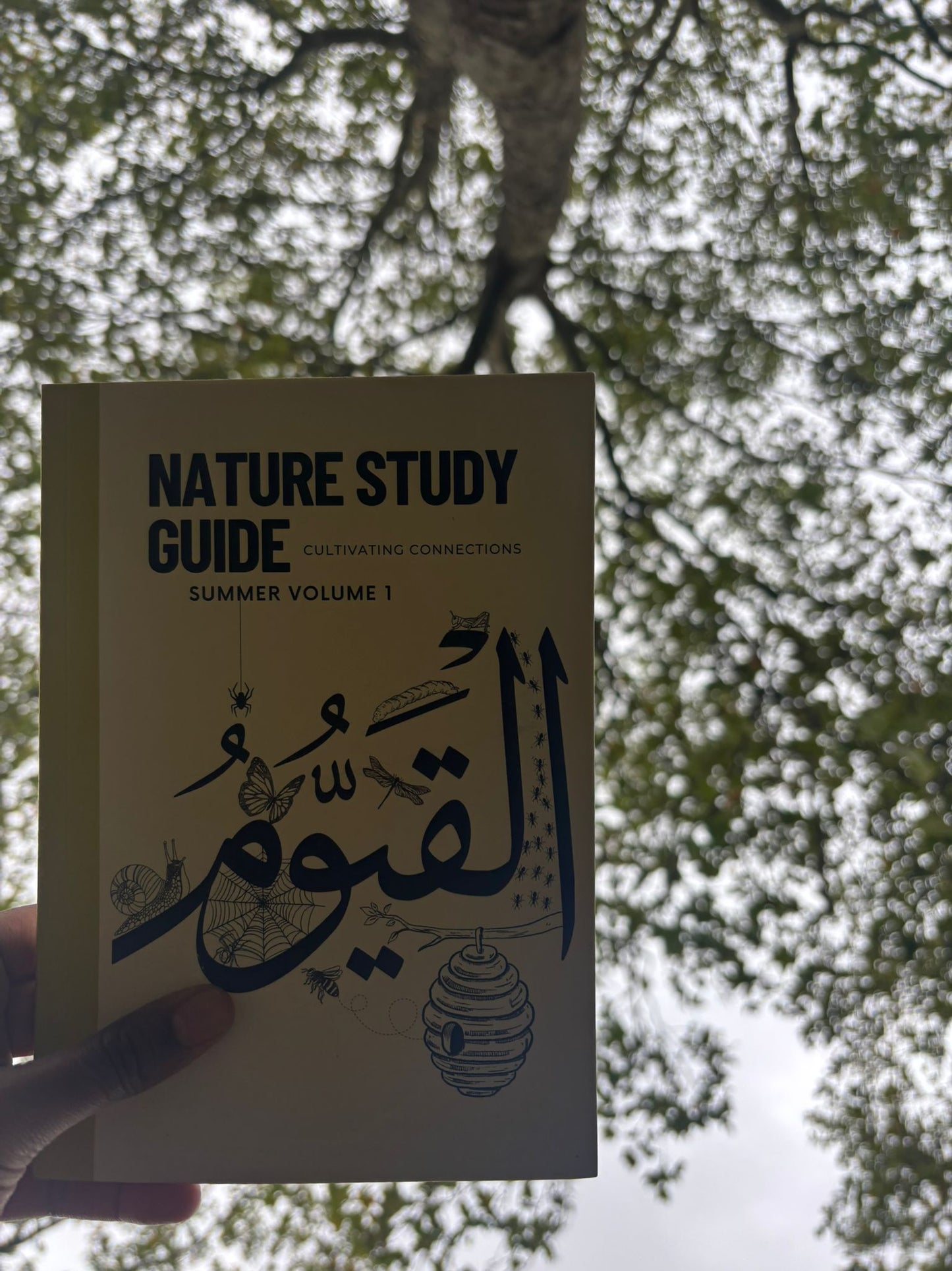 Nature Studies Guides - Cultivating Connections